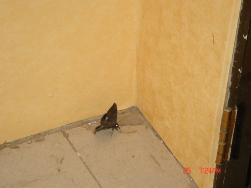 3cLwr4q24sKPSK1neYjYiw