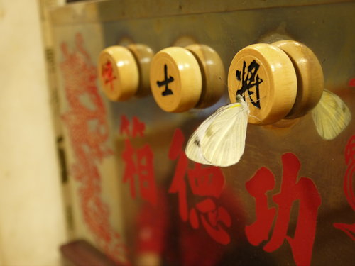 b7cyNOsccGZPW7_kQjpD_A (1)