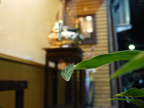 rnaa3FDV0jX8Vj63nz3K0g (1)