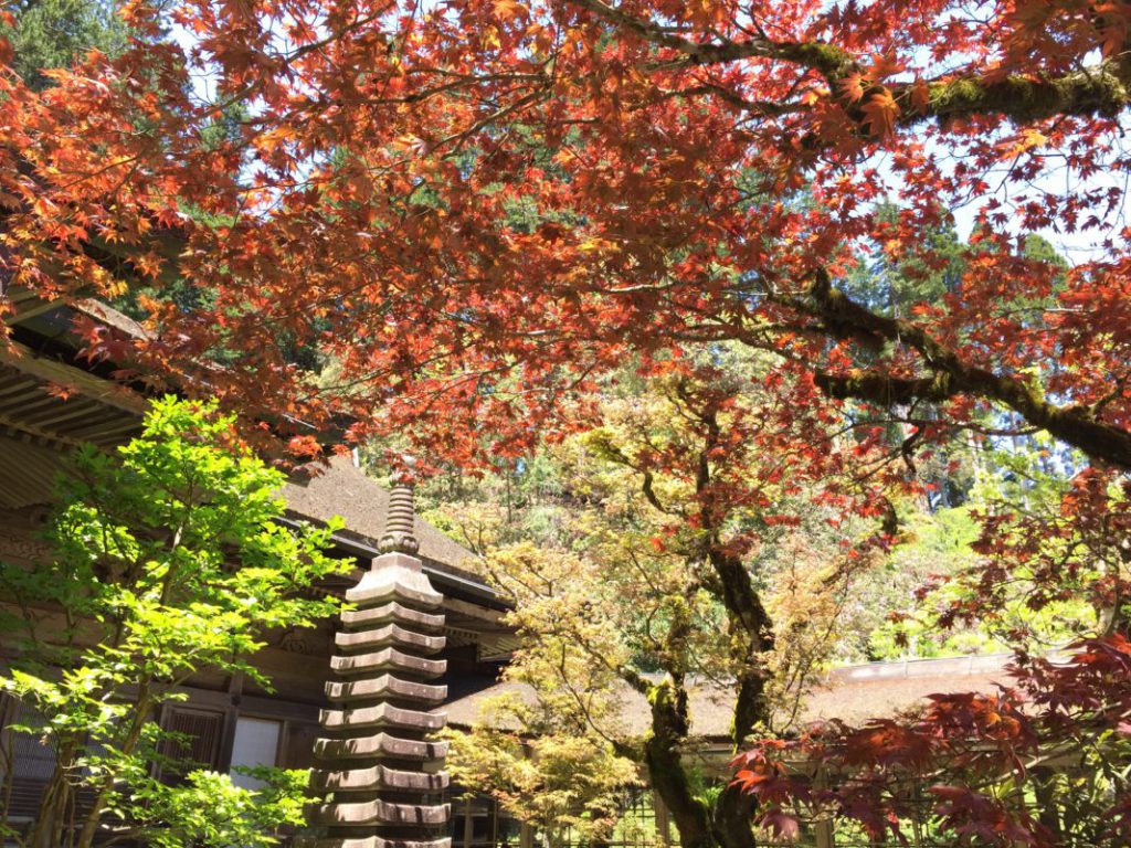 伏魔師的五大修鍊  四：順應自然【變通】之道