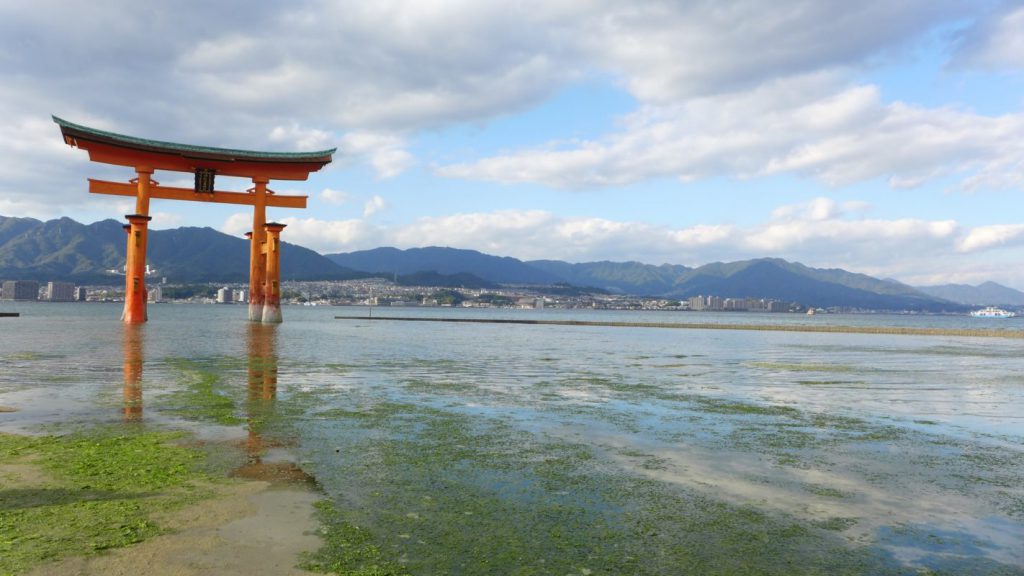 <修行智慧>修行的智慧，真的很重要，你可以沒有智慧，但絕對不要走偏啊！ －怎麼培養自己的修行智慧?