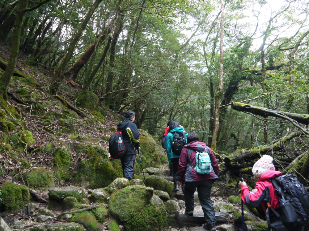 道法自然 : 關於，天、地、人的能量關係