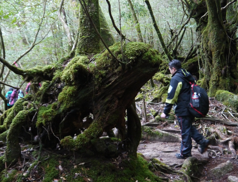 (好康)line每天收好運，負面能量指標介紹