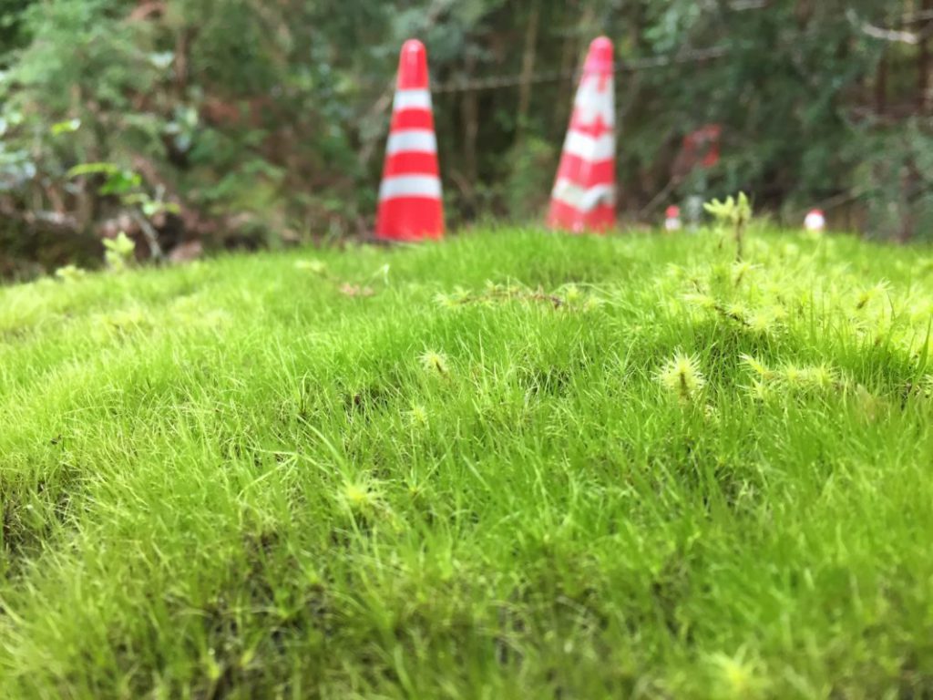 做能夠做的，但也不打腫臉撐胖子，有錢出錢，有力出力，利他，也是一念之間