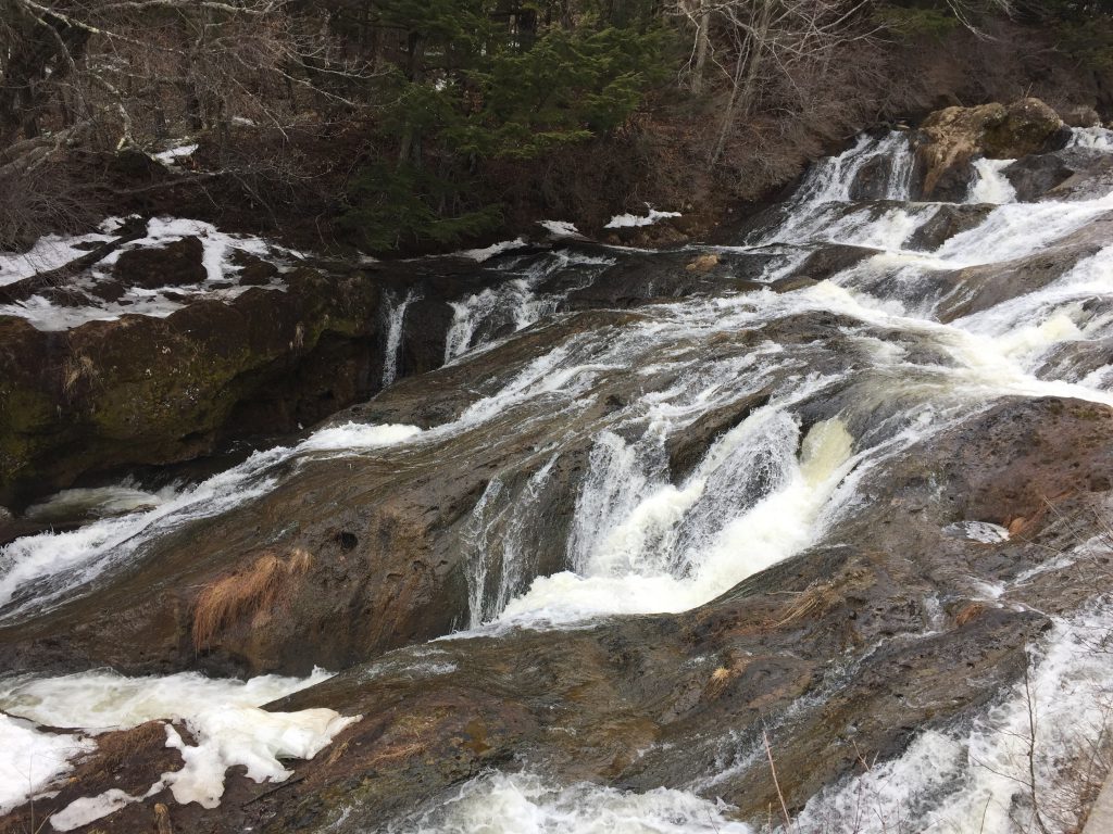 豬哥亮先生願你一路好走!憶那些年的逝去，
