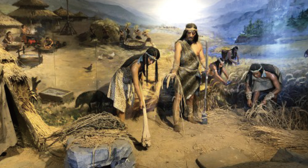 聖真門， 聖元，從炎帝(神農氏)身上學到的人類智慧