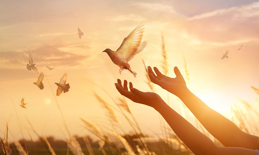 【文章分享】生命無常不再只是一個遙遠的名詞—劉真逝世，祝願她離苦得樂一路好走